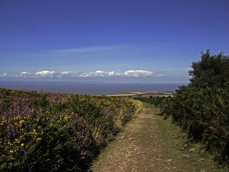 Bristol Channel